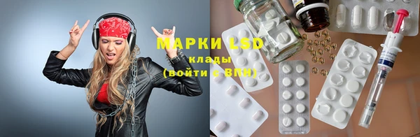 гидра Дмитров