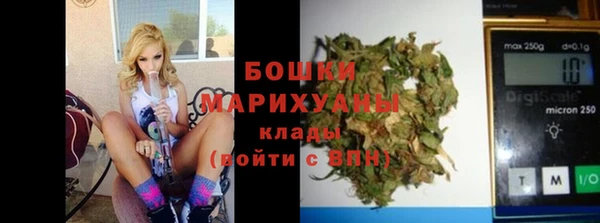 дурь Гусиноозёрск