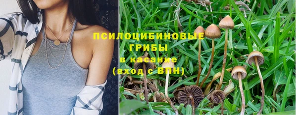 mix Гусев