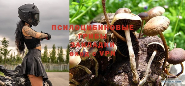 дурь Гусиноозёрск