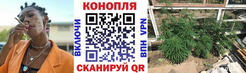 Купить где  Орлов  Каннабис планчик 